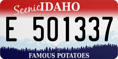 ID license plate E501337