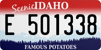 ID license plate E501338
