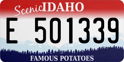 ID license plate E501339