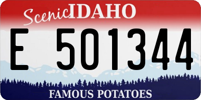 ID license plate E501344