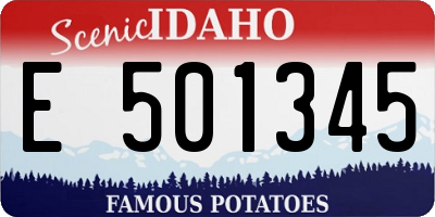 ID license plate E501345