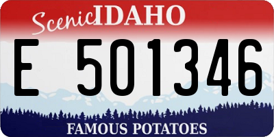 ID license plate E501346