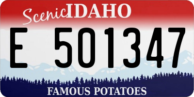 ID license plate E501347