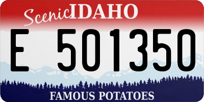 ID license plate E501350