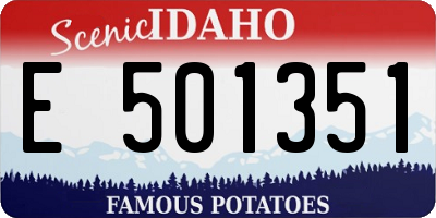 ID license plate E501351