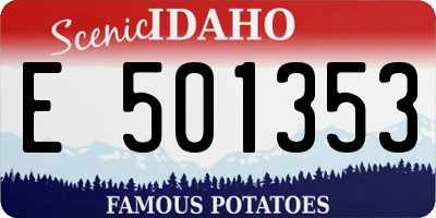 ID license plate E501353