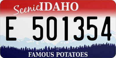 ID license plate E501354