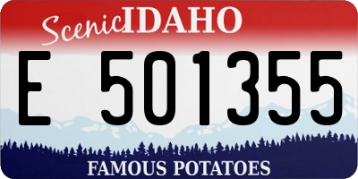 ID license plate E501355