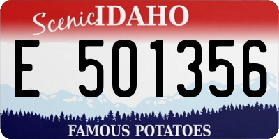 ID license plate E501356