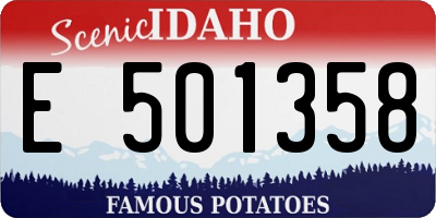 ID license plate E501358
