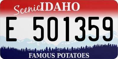 ID license plate E501359