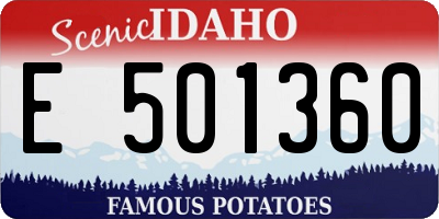 ID license plate E501360