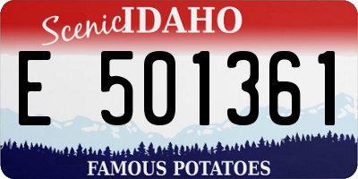ID license plate E501361