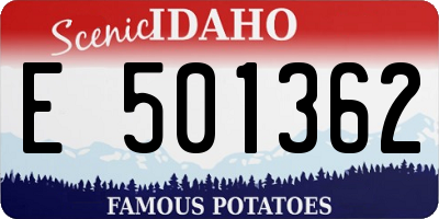 ID license plate E501362