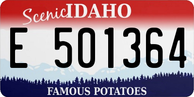 ID license plate E501364