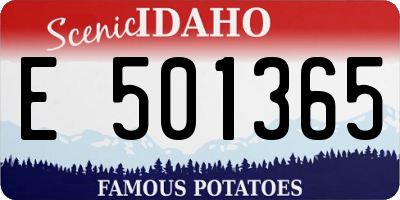 ID license plate E501365