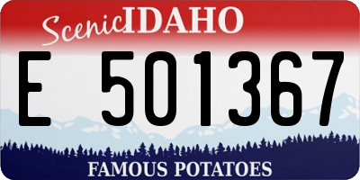 ID license plate E501367