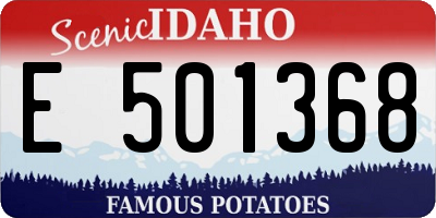 ID license plate E501368