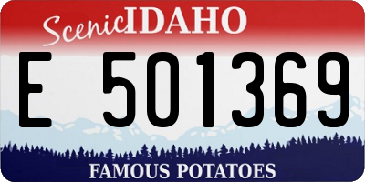 ID license plate E501369