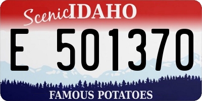 ID license plate E501370