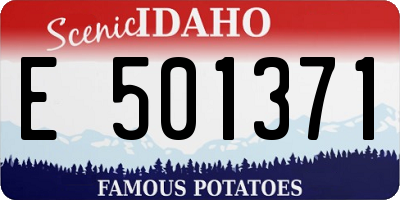 ID license plate E501371