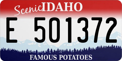 ID license plate E501372