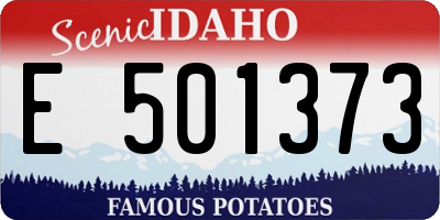 ID license plate E501373