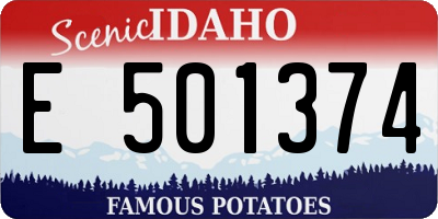 ID license plate E501374