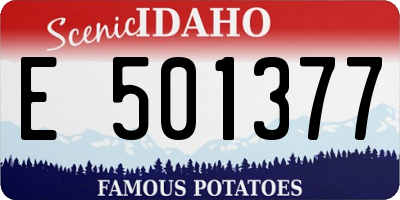 ID license plate E501377