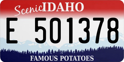 ID license plate E501378