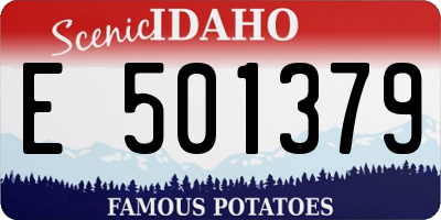 ID license plate E501379