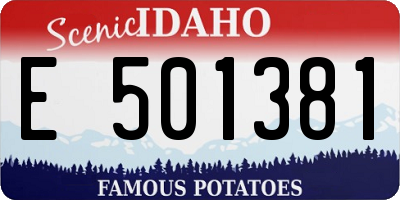 ID license plate E501381