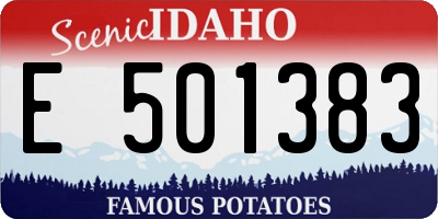 ID license plate E501383