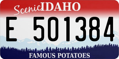 ID license plate E501384