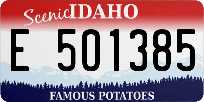 ID license plate E501385