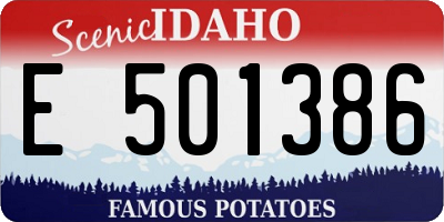 ID license plate E501386