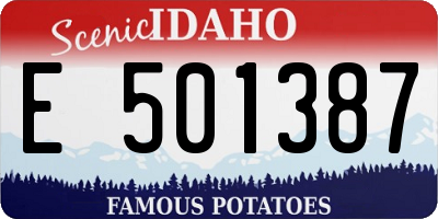 ID license plate E501387
