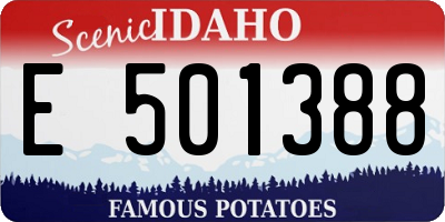 ID license plate E501388