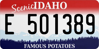 ID license plate E501389