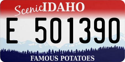 ID license plate E501390
