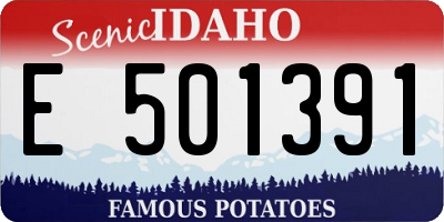 ID license plate E501391