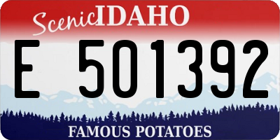 ID license plate E501392