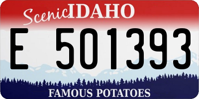 ID license plate E501393