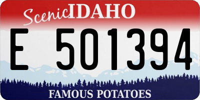 ID license plate E501394