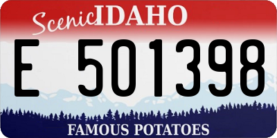 ID license plate E501398