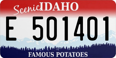 ID license plate E501401
