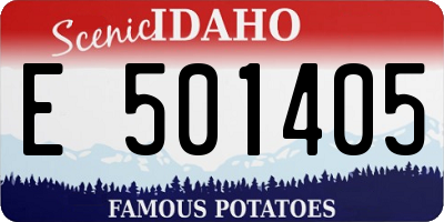 ID license plate E501405