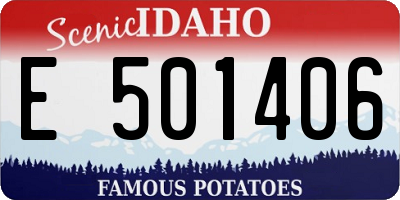 ID license plate E501406