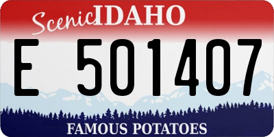 ID license plate E501407