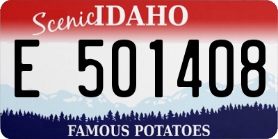 ID license plate E501408